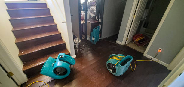 Local water damage restoration