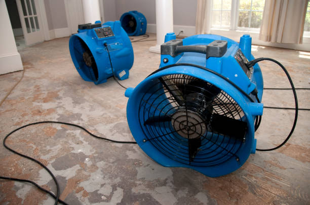 Best Professional water damage repair  in Melbourne Beach, FL